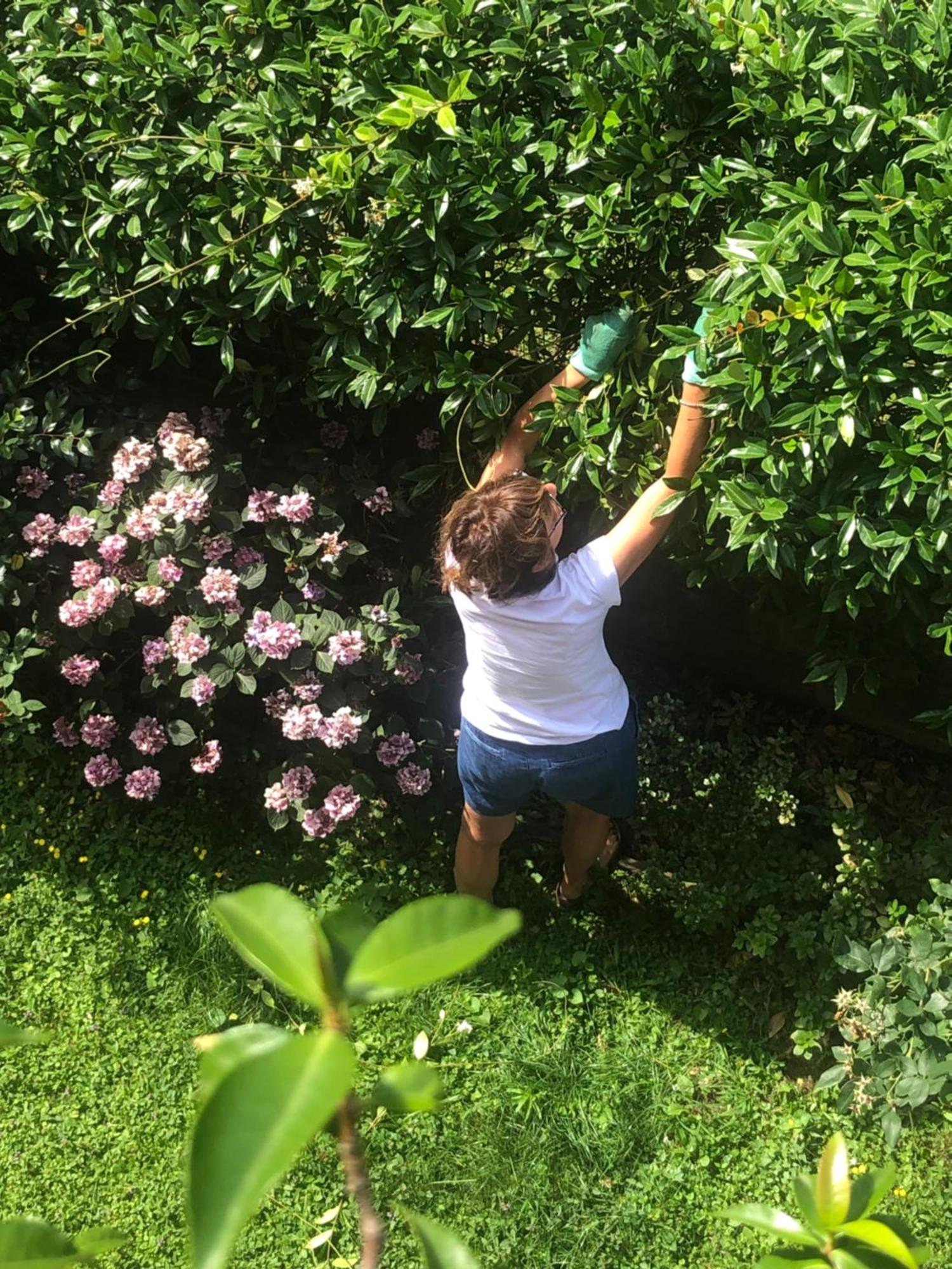 Giuditta Freecarpark&Garden Домодоссола Экстерьер фото